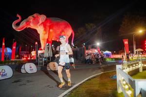 BIB: 
                            <button type="button" onclick="openModal(26551993)" class="btn btn-primary btn-sm float-right btn-popup" data-toggle="modal" data-target=".modal-high-quality">
                        <i class="fas fa-shopping-cart"></i> Add to Cart
                    </button>
                                            <button type="button" onclick="isThisMe(26551993, true)" class="btn btn-success btn-sm float-right btn-popup btn-isme hidden" data-toggle="tooltip" data-placement="bottom" title="นี่คือรูปของคุณใช่ไหม คลิกที่นี่เพื่อเอาเข้าอัลบั้ม">
                        <i class="fas fa-plus"></i> Add to album
                    </button>
                    <button type="button" onclick="isThisMe(26551993, false)" class="btn btn-warning btn-sm float-right btn-popup btn-isnotme hidden">
                        <i class="fas fa-ban"></i> Remove from album
                    </button>